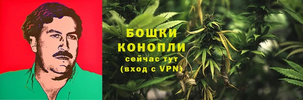 трава Бородино