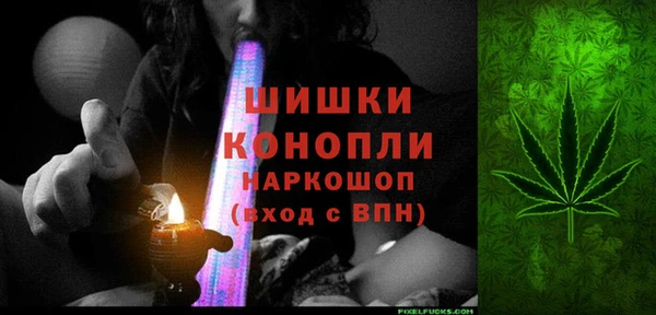 трава Бородино